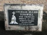 image of grave number 862050