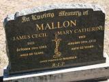 image of grave number 862000