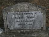 image of grave number 862007