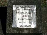 image of grave number 872177