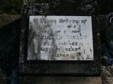 image of grave number 747814
