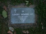 image of grave number 747843