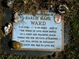 image of grave number 937900
