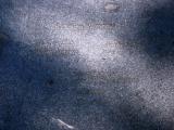 image of grave number 937195
