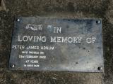 image of grave number 937479