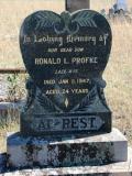 image of grave number 844684