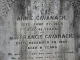 image of grave number 306862
