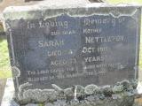 image number nan0106