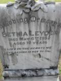 image of grave number 306958