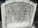 image of grave number 306981