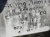 image of grave number 307009
