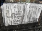 image of grave number 307022