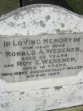 image of grave number 307043