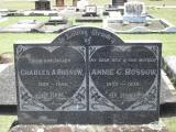 image of grave number 307157