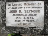 image of grave number 307172