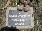 image of grave number 307216