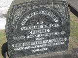 image of grave number 307263