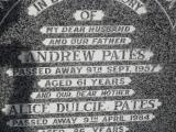 image of grave number 307445