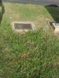 image number nan0667