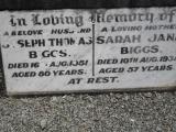 image of grave number 307501