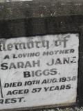 image of grave number 307501
