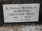 image of grave number 307555