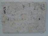 image of grave number 307636