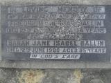 image of grave number 307640
