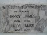 image of grave number 307654