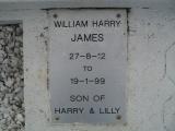 image of grave number 307654