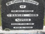 image of grave number 307672