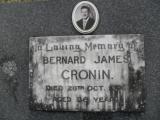 image of grave number 307796