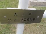 image of grave number 307844