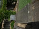 image of grave number 854439