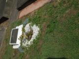 image of grave number 854447