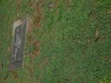 image of grave number 854450
