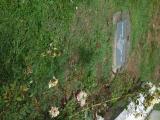 image of grave number 854477