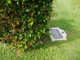image of grave number 854485