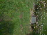 image of grave number 854486