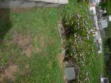 image of grave number 854487