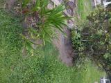 image of grave number 854494
