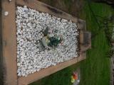 image of grave number 854499