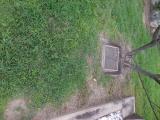 image of grave number 854500