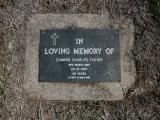 image of grave number 811946