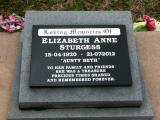 image of grave number 747391