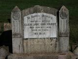 image of grave number 811494