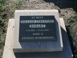 image of grave number 811511
