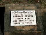 image of grave number 811575