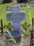 image of grave number 129090