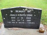 image of grave number 420012